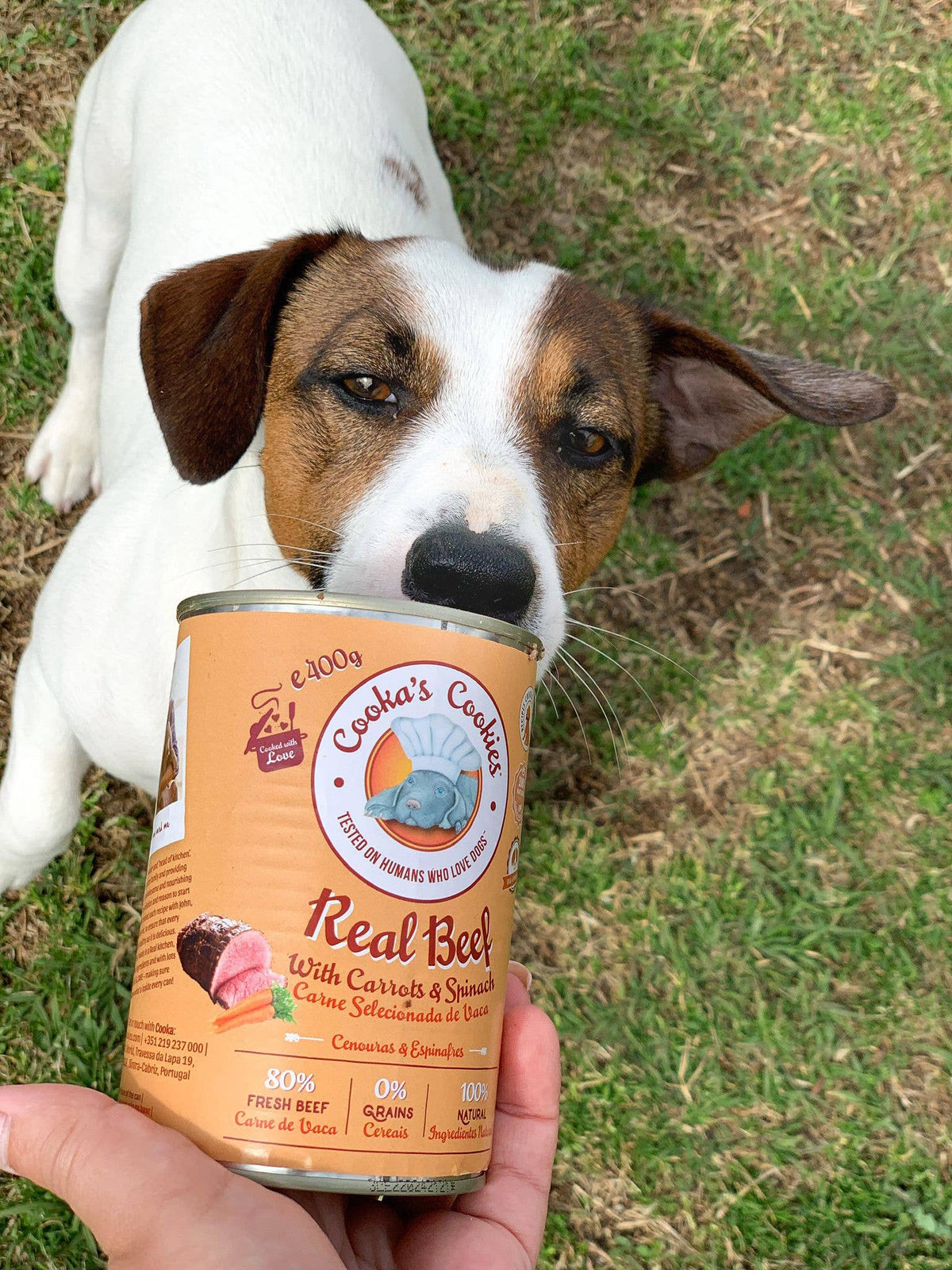 Real Beef – Repas complet au bœuf pour chien 400 g