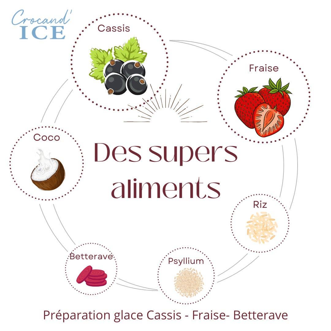 Glace pour chien  Cassis et Fraise