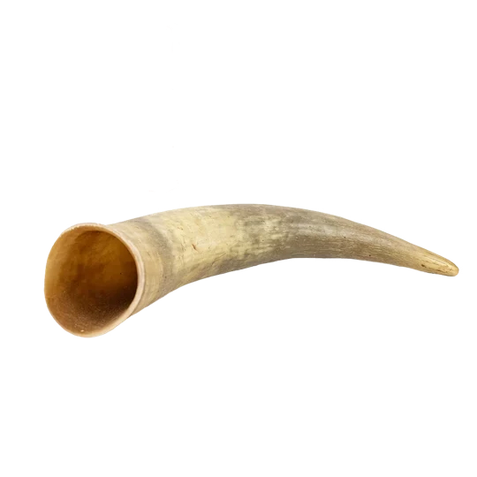 Corne de vache