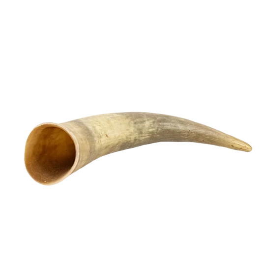Corne de vache