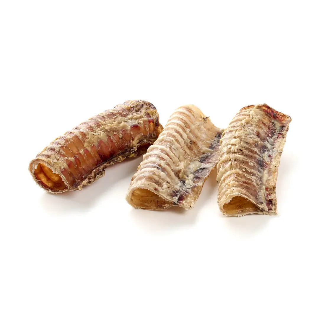 Trachées de boeuf - 12 ou 30 cm - mastication à l'unité