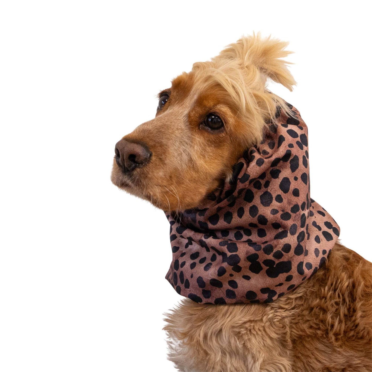 🐾 Snood Imperméable Double Épaisseur - Léopard