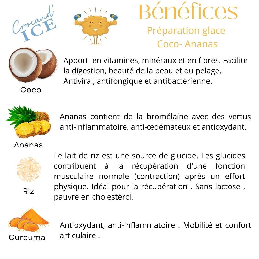 Glace pour chien ananas-coco