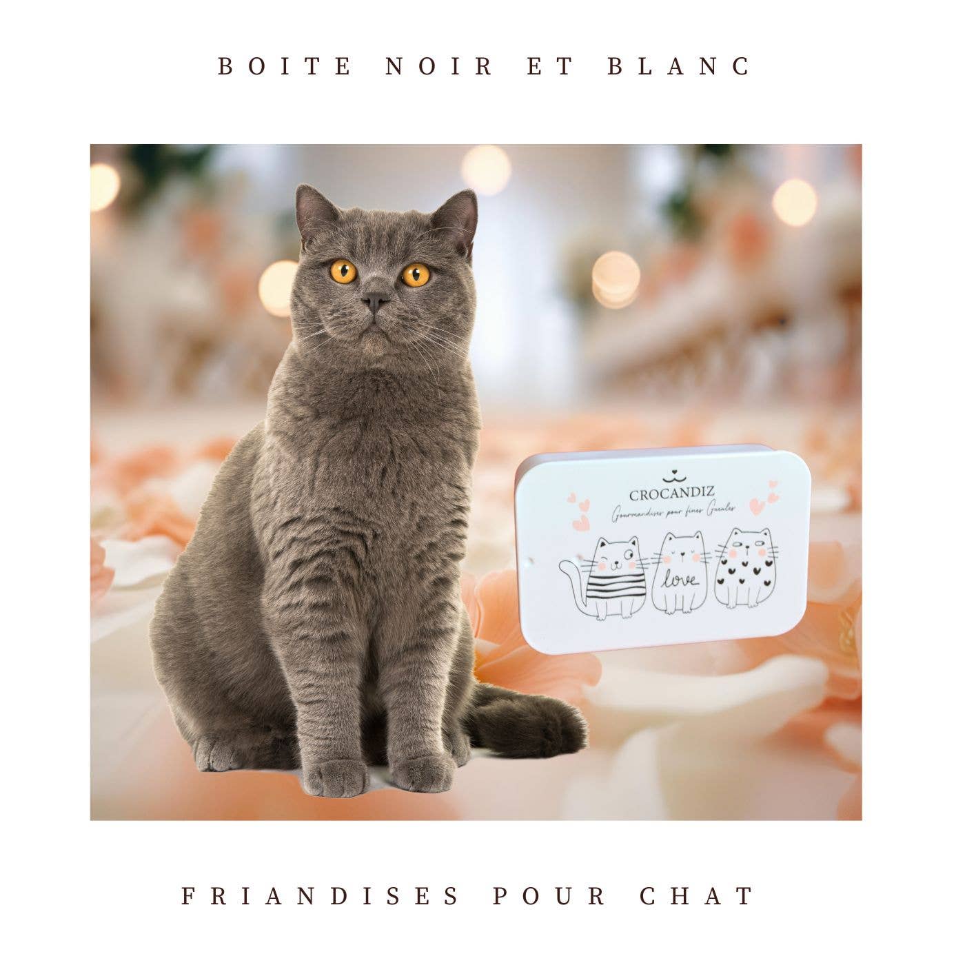 Boîte de friandises Chat – Collection Love ❤️🐱