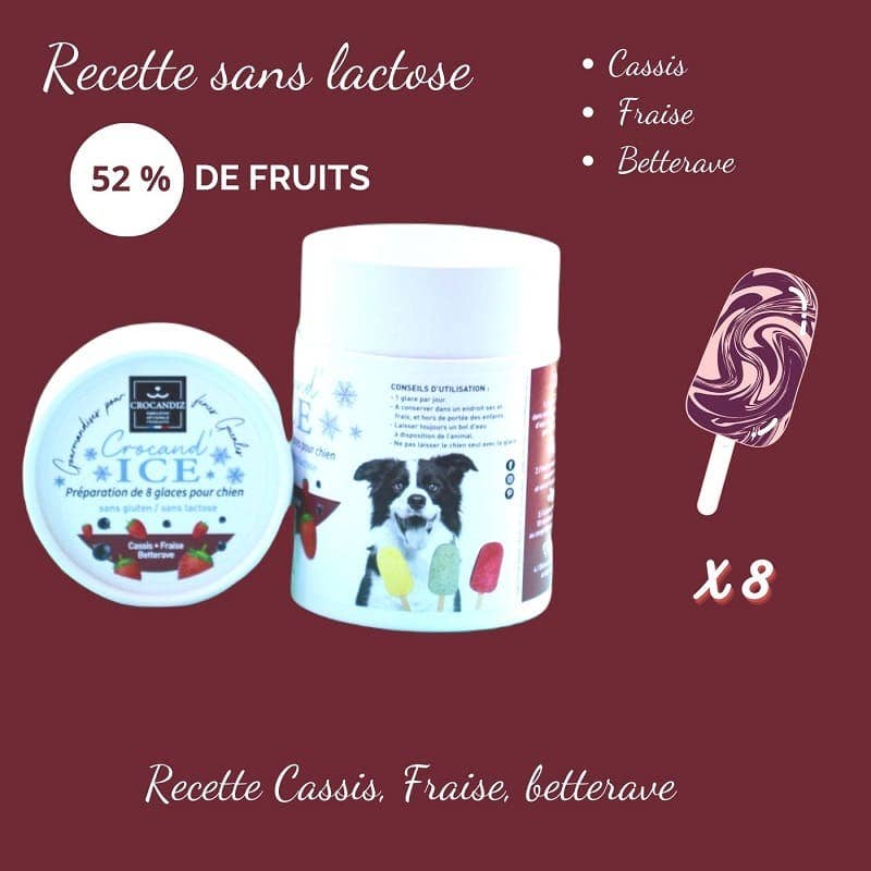 Glace pour chien  Cassis et Fraise