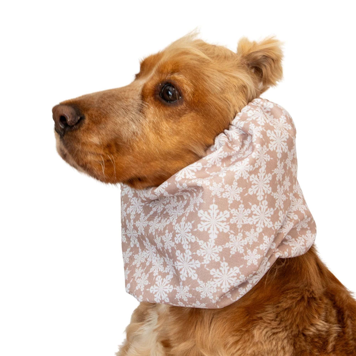 🐾 Snood Imperméable Double Épaisseur - Flocons