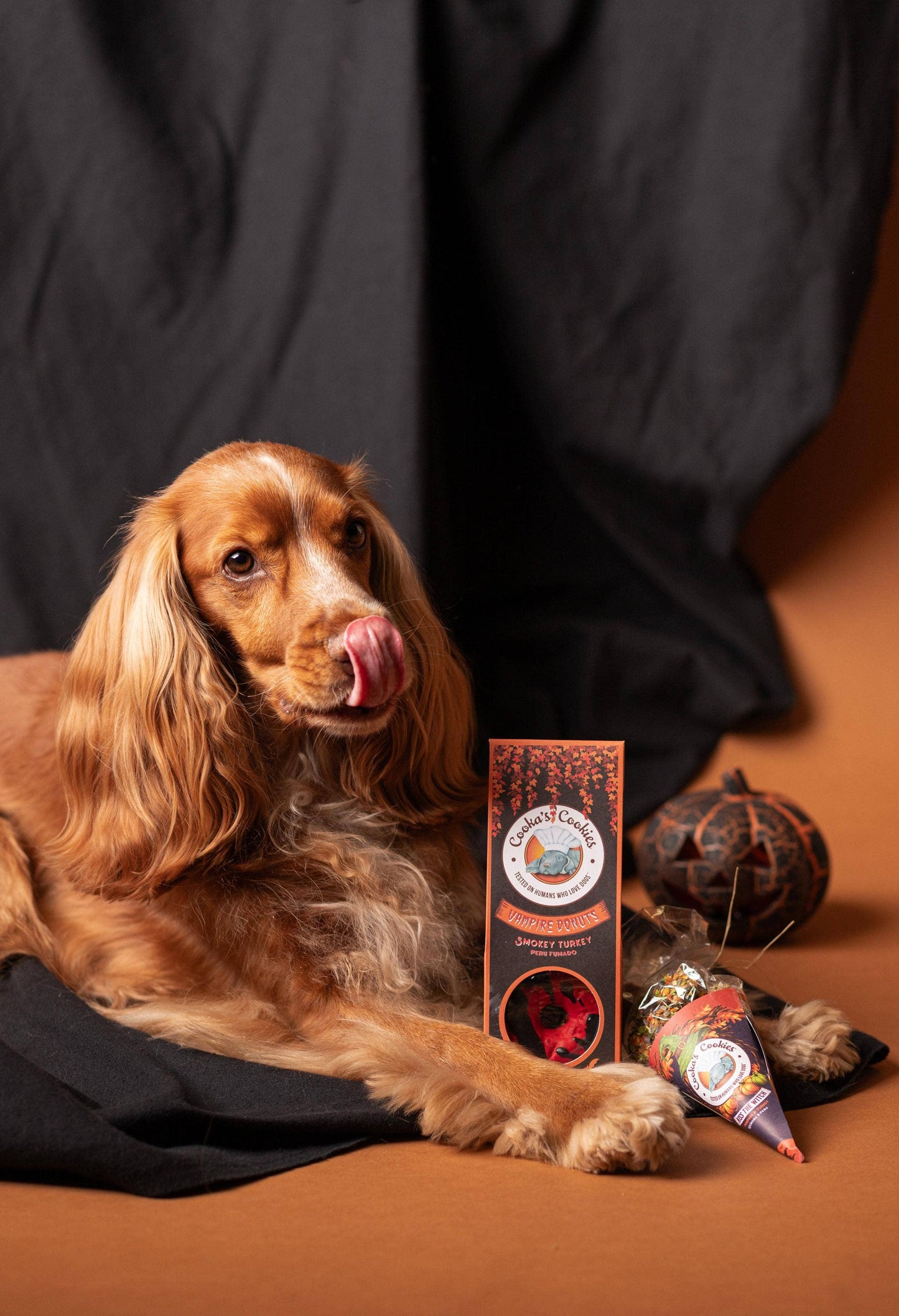 Beignets aux vampires - Friandises d'Halloween pour chiens