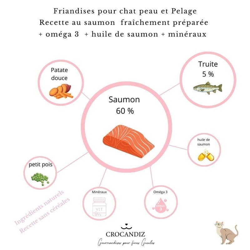 Friandises Beauty Peau & Pelage – Saumon pour chat