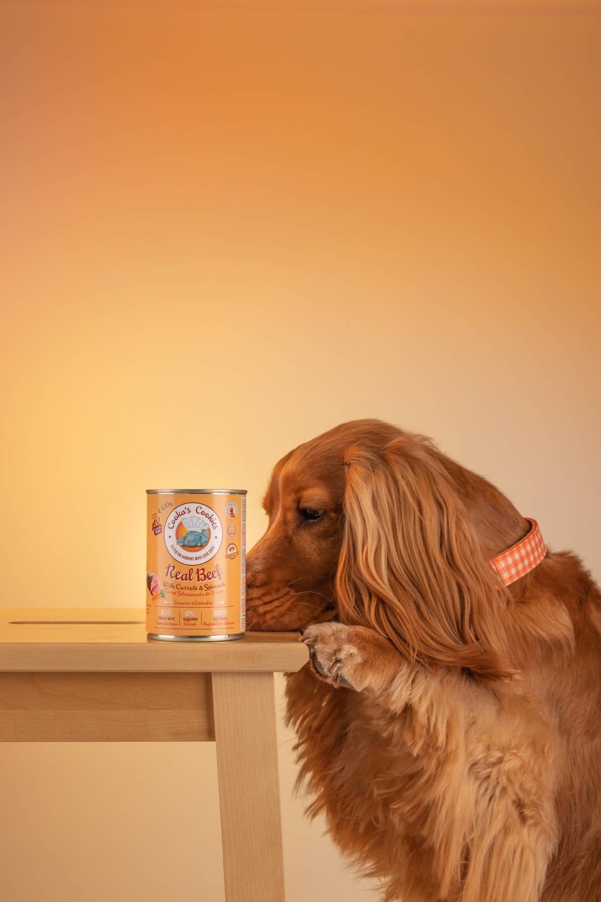 Real Beef – Repas complet au bœuf pour chien 400 g