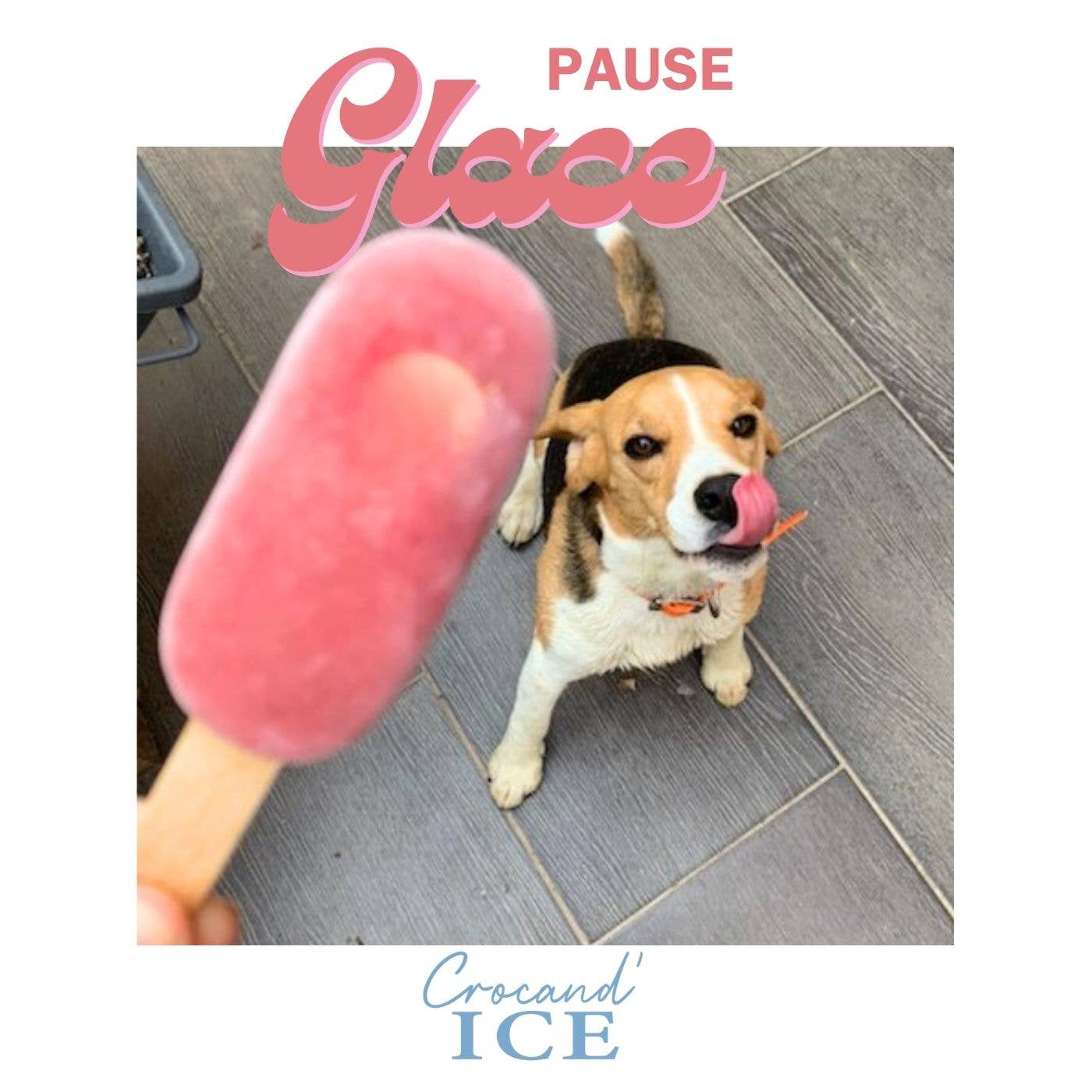 Glace pour chien Pomme  et Fraise