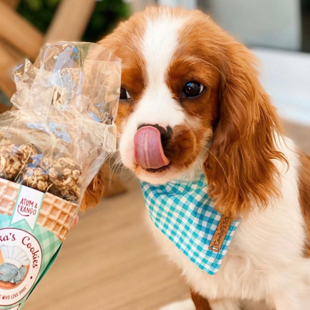 Beijinhos - Friandises croquantes et naturelles pour chiens au poulet et au thon