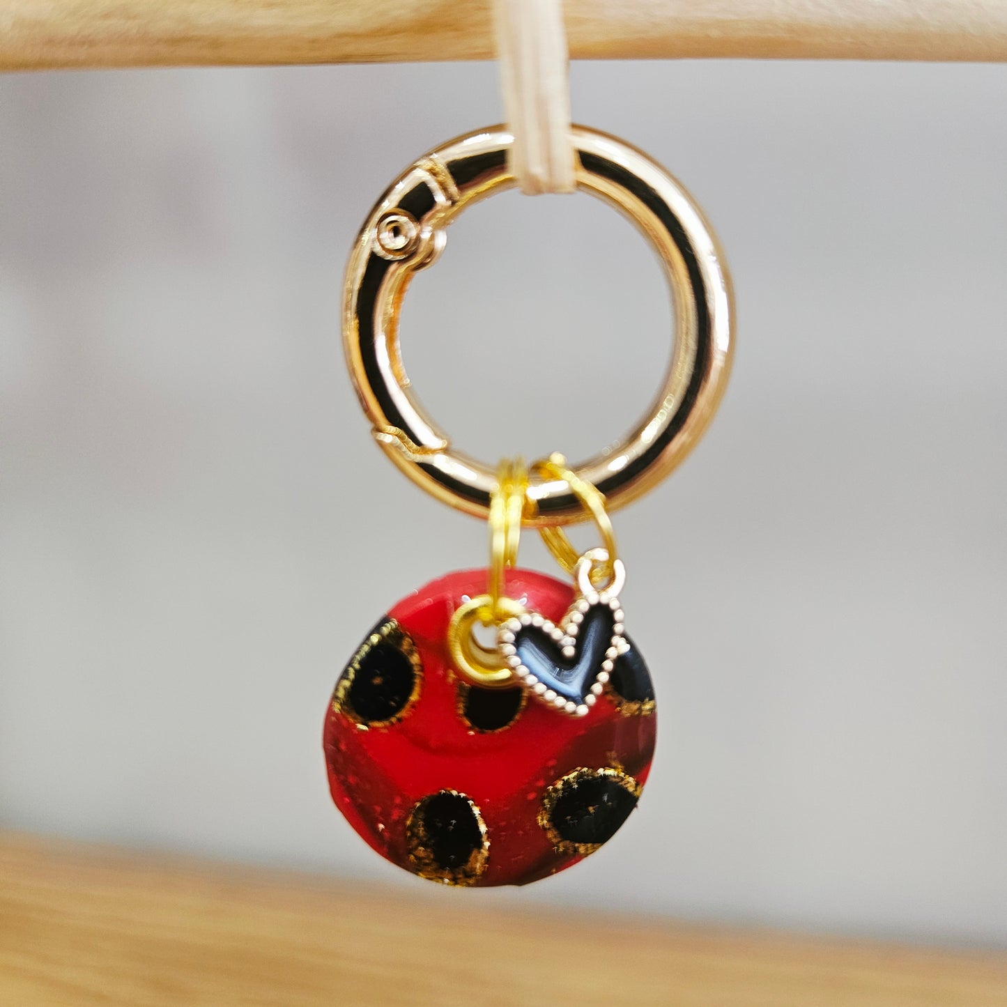 Collection Coccinelle - Médaille d’identification personnalisable