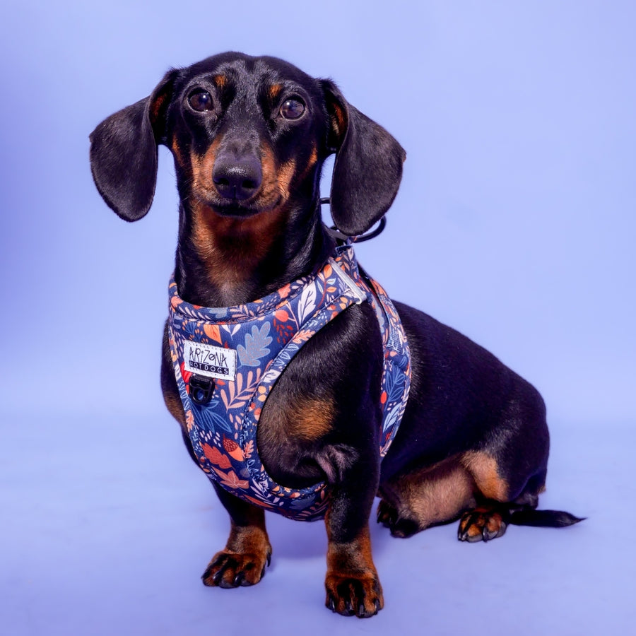 Harnais à Enfiler pour Chien – Confort & Sécurité