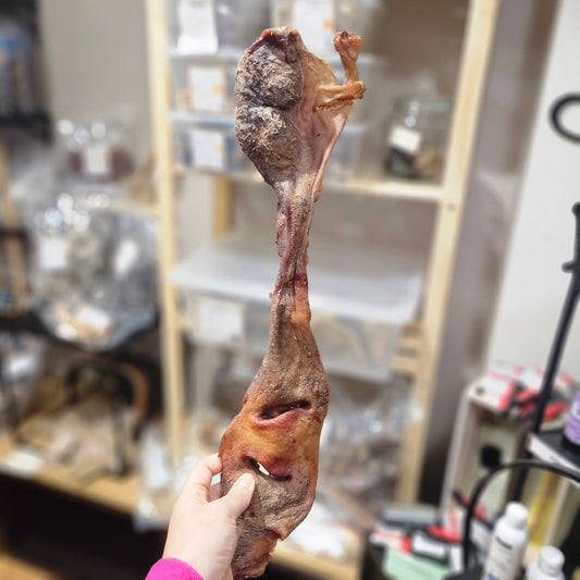 Museaux de vache pour chien 30/40CM