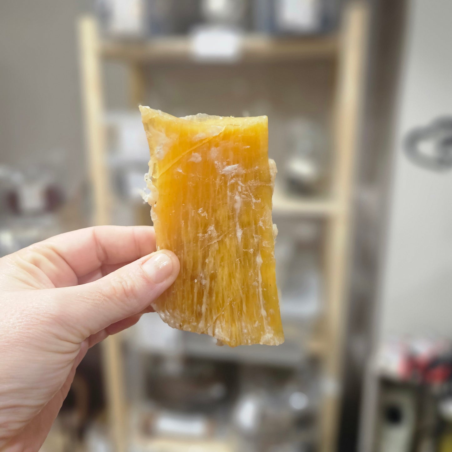 Tendon de boeuf à l'unité - Mastication gourmande pour chien