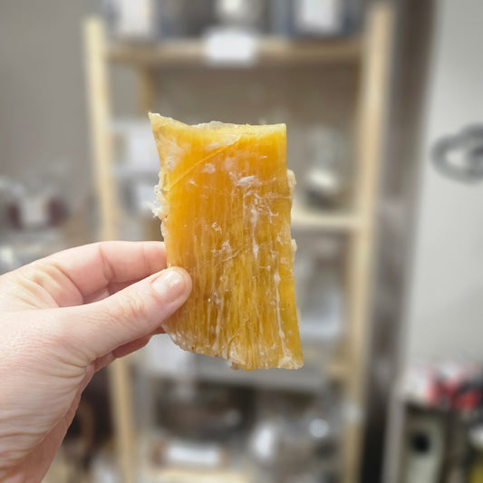 Tendon de boeuf à l'unité - Mastication gourmande pour chien