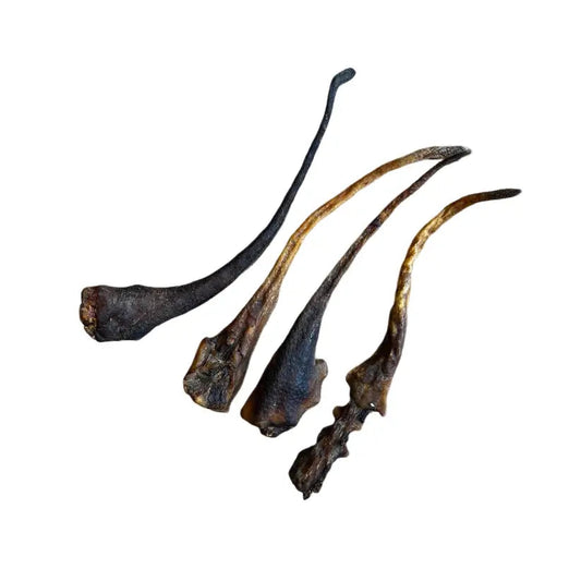Queues de sanglier - Mastication gourmande pour chien - 1kg
