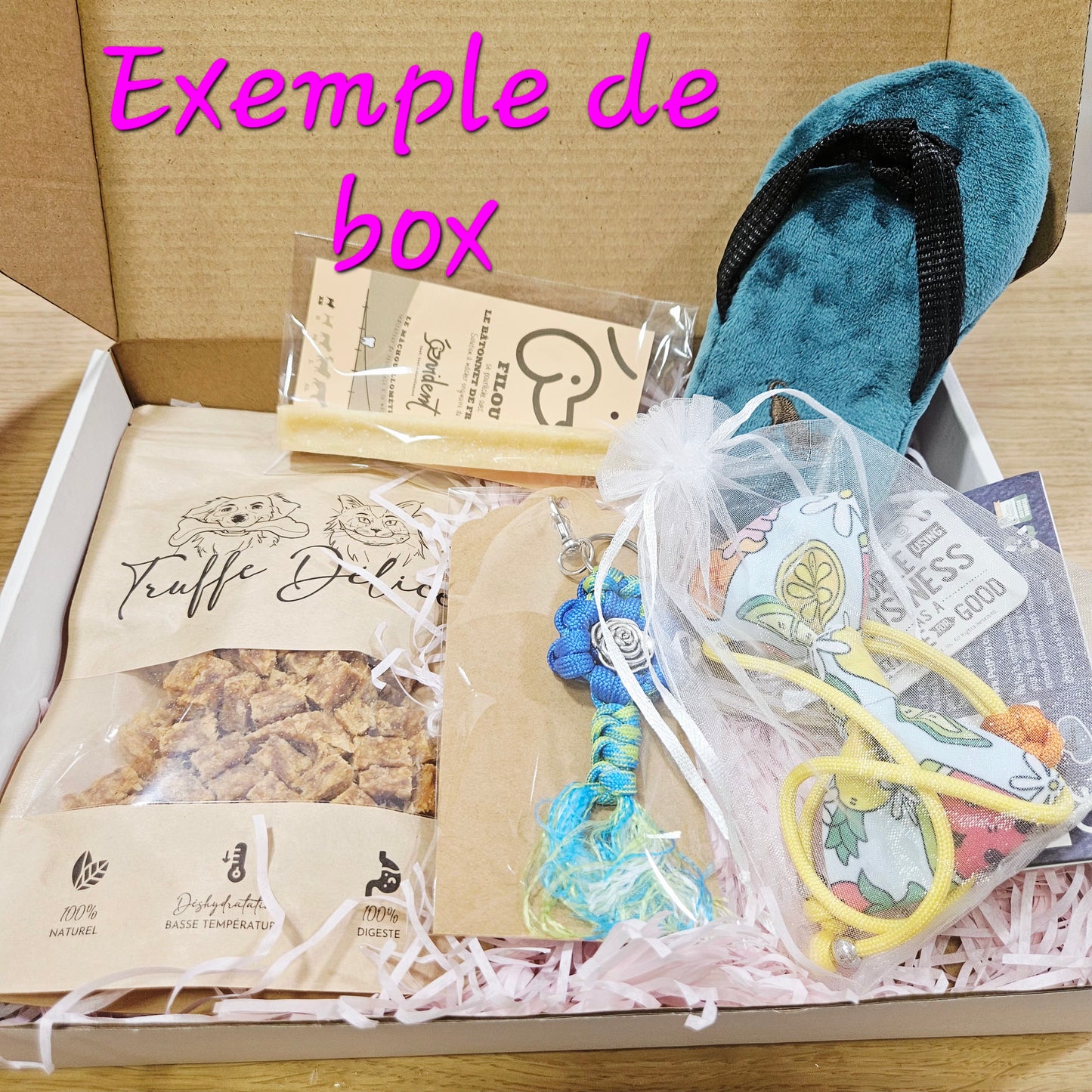 Box surprise HALLOWEEN pour chien - Édition limitée bimestrielle Pré-réservation