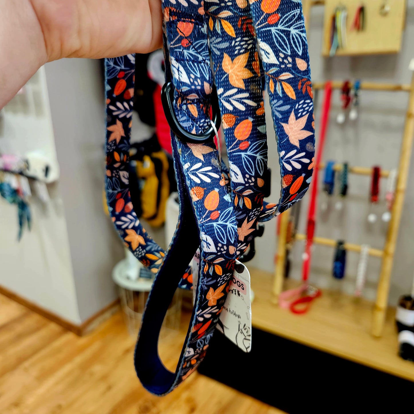 🐕 Laisse standard pour Chien – Confort & Style