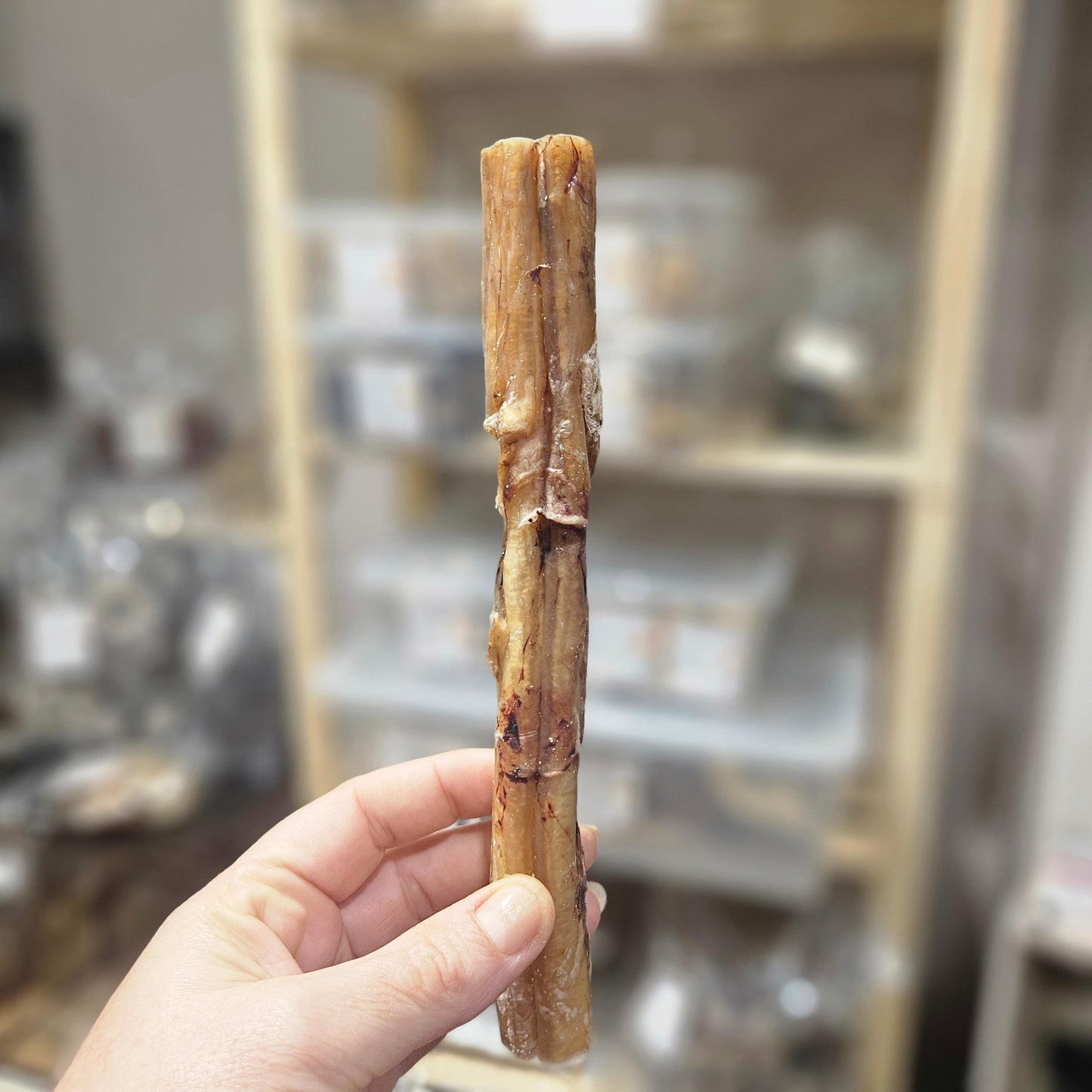 Nerf de boeuf - Mastication gourmande pour chien