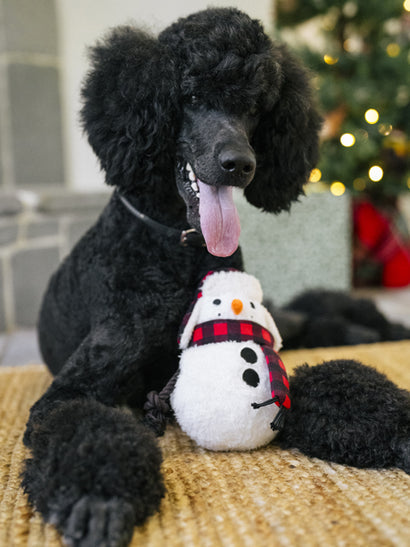 Peluche Bonhomme de neige - jouet pour chien