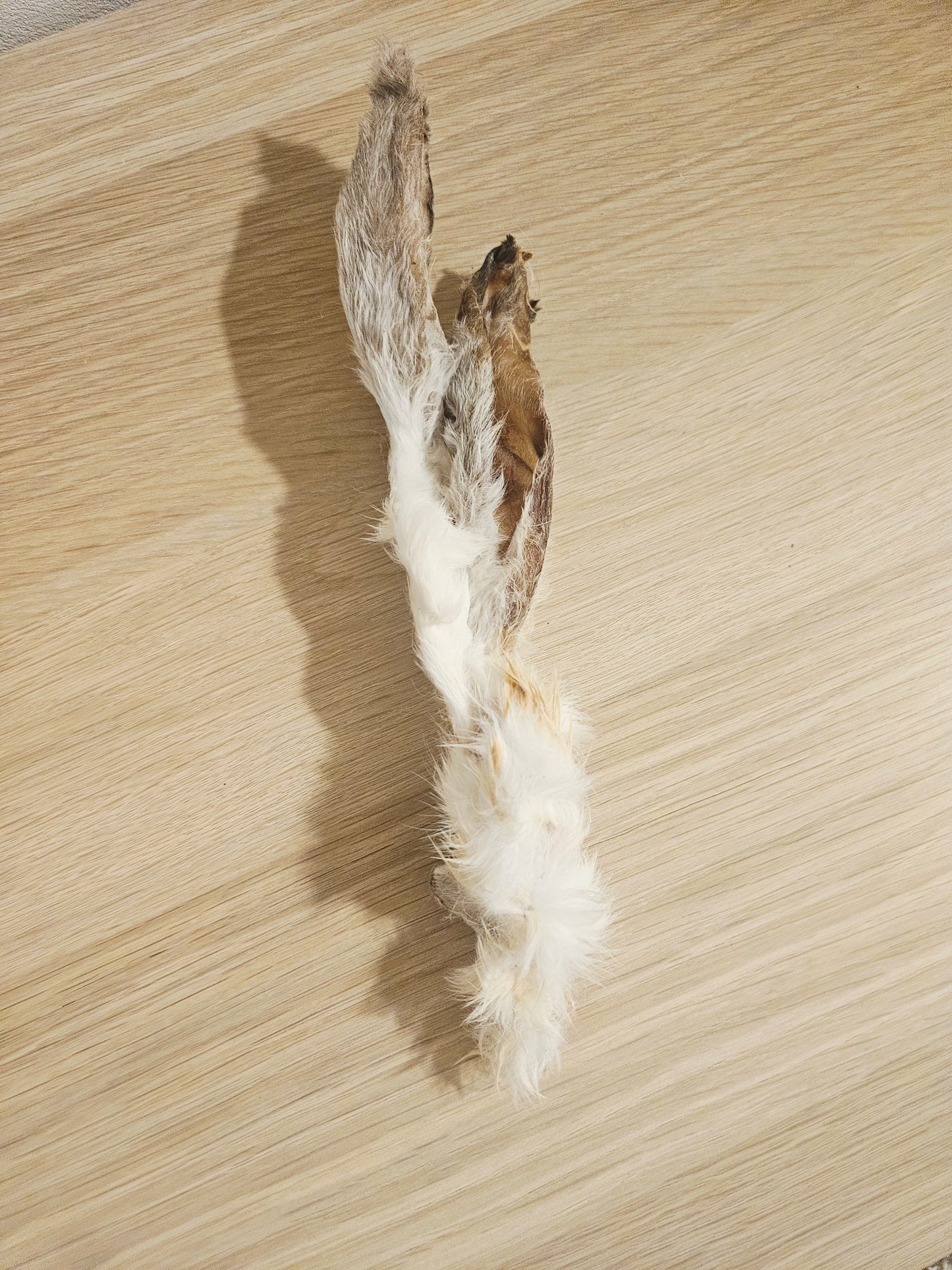 Oreille De Lapin - avec ou sans fourrure