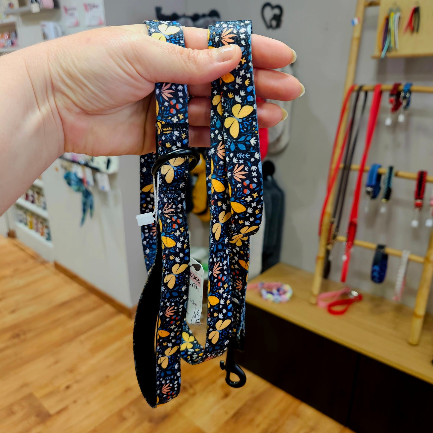 🐕 Laisse standard pour Chien – Confort & Style