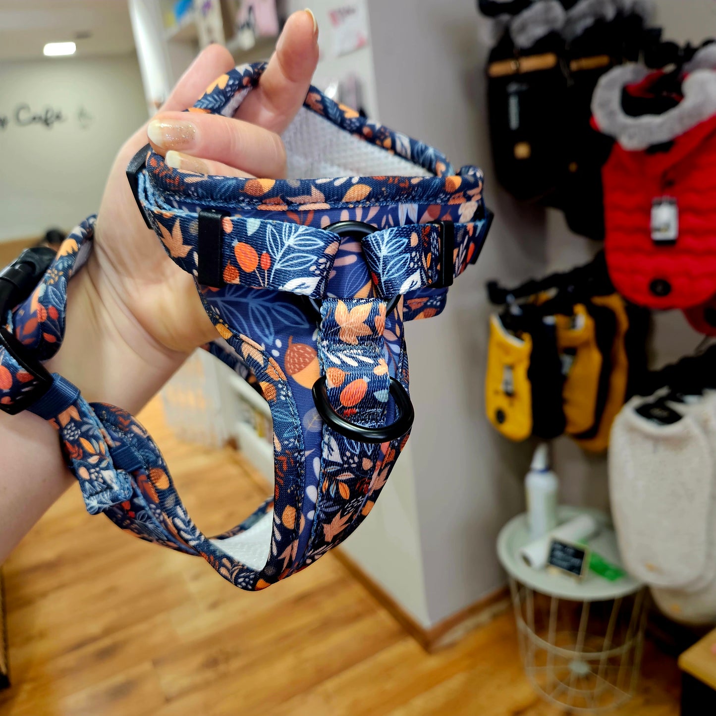 🐶 Harnais Anti-Traction pour Chien – Confort & Contrôle