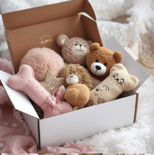 Box surprise HIVER pour chien - Édition limitée bimestrielle - Pré-réservation
