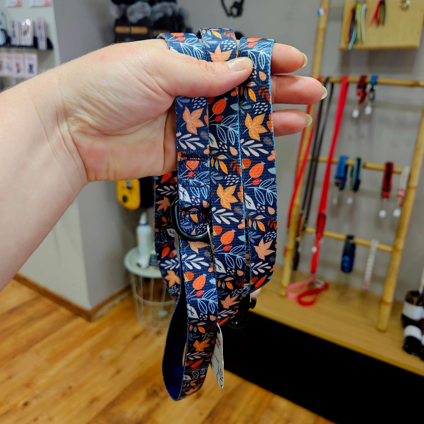 🐕 Laisse standard pour Chien – Confort & Style