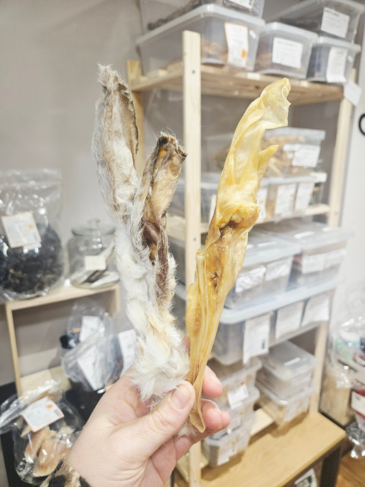 Oreille De Lapin - avec ou sans fourrure