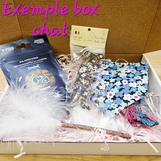 Box surprise HALLOWEEN pour chat - Édition limitée bimestrielle Pré-réservation