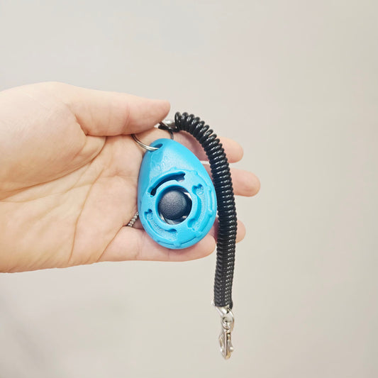 Clicker de dressage pour chien