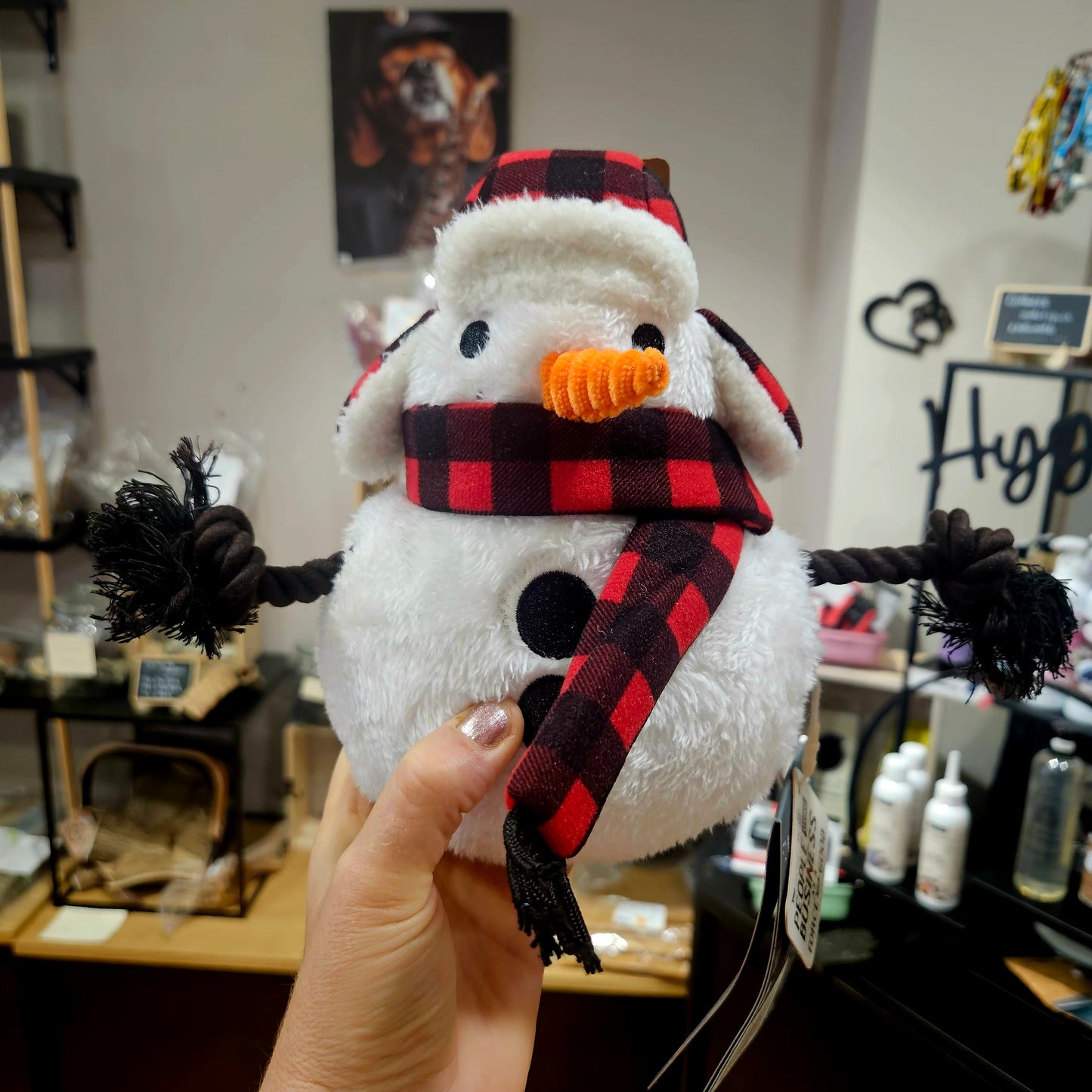 Peluche Bonhomme de neige - jouet pour chien
