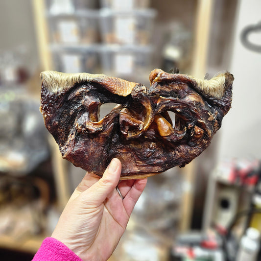 🐮 Museau de bœuf séché avec poils en vrac – Friandise 100 % naturelle pour chien