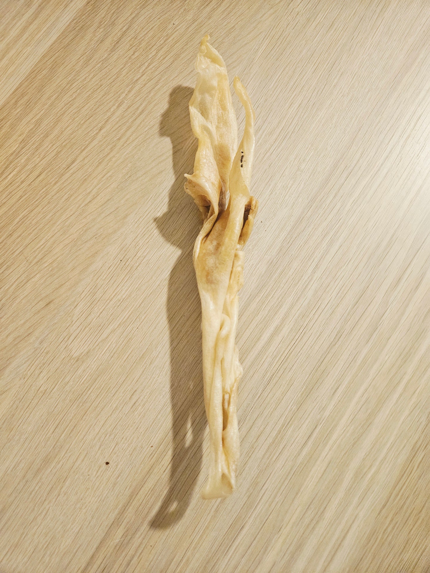 Oreille De Lapin - avec ou sans fourrure