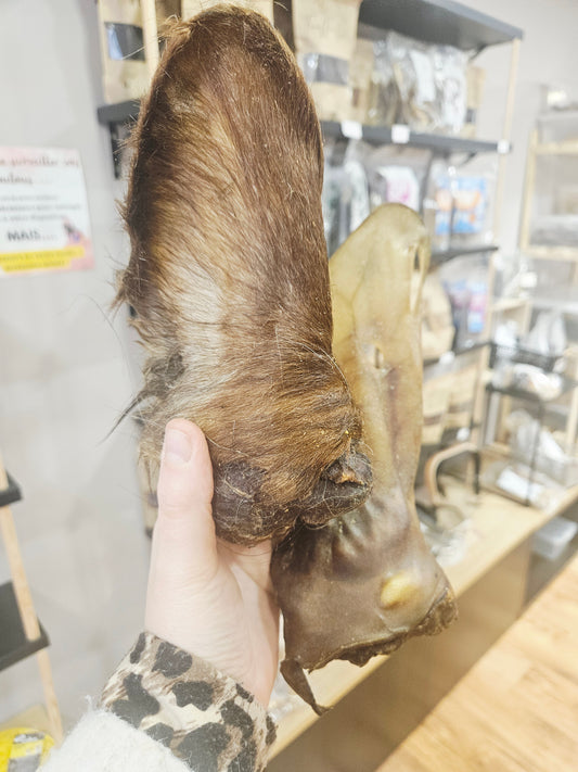 Oreille De Boeuf XL - avec ou sans fourrure